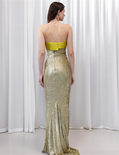 Delphine Maxi Elbise