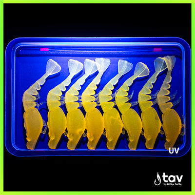 TAV Özel Seri LifeX™ TEKE 55mm GHOST HONEY UV Glow 8li Paket
