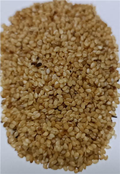 İnci Susam Pastalık Kızaran   (25 Kg)