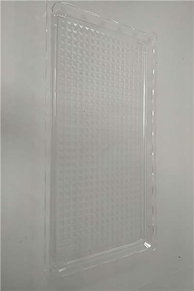 Kırılmaz Pasta Tepsisi Şeffaf   No:1 (32*12 Cm)