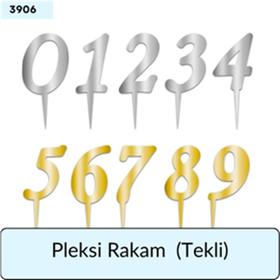PLEKSİ RAKAM  (TEKLİ)