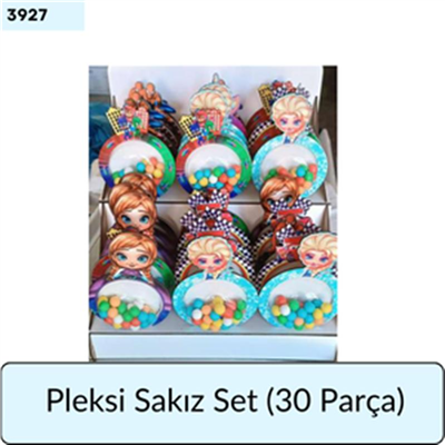 PLEKSİ SAKIZ SET ( 30 PARÇA )