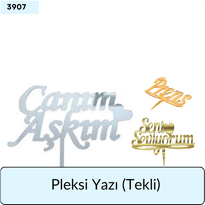 PLEKSİ YAZI   (TEKLİ)