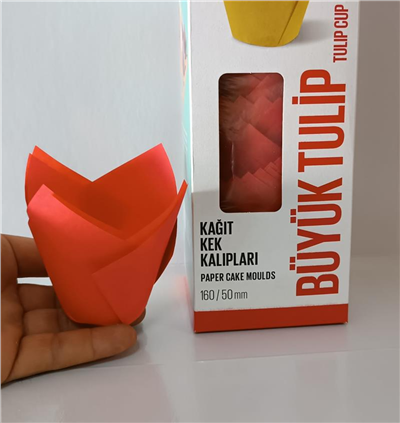 Tulip 160/50 Kırmızı (200 Adet)