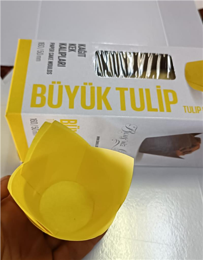 Tulip 160/50 Sarı (200 Adet)