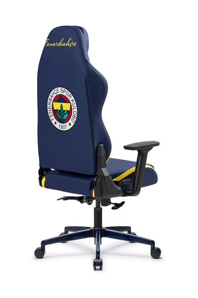 Fanchair x Fenerbahçe 1907 Taraftar Koltuğu