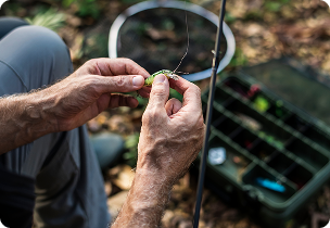 LRF Balıkçılığında Silikon Yemlerin Yeri: Çeşitleri, Kullanımı ve Başarı Sırları