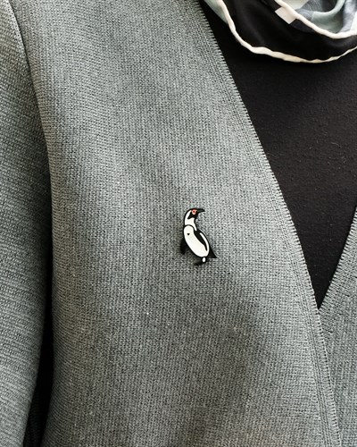 Afrika Pengueni Broş
