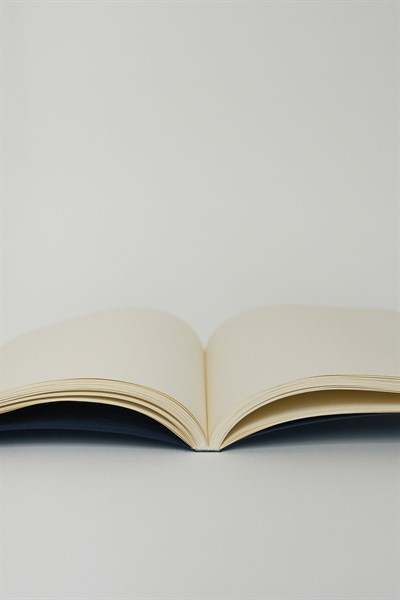 İstanbul Defter - Metalik Şeftali Tüyü