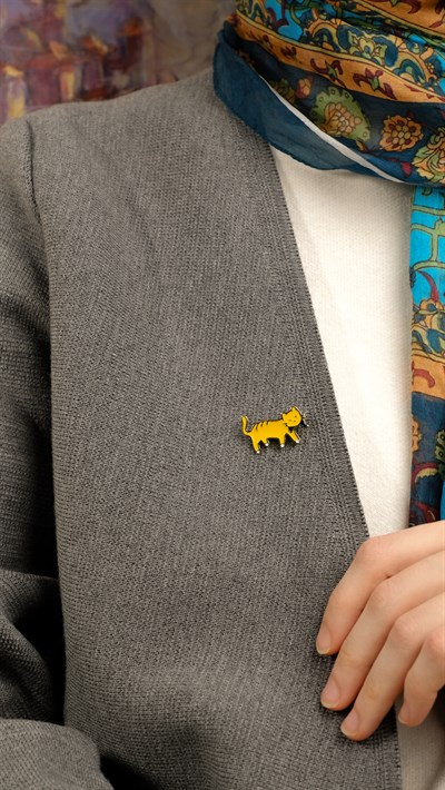 Turuncu Tekir Kedi