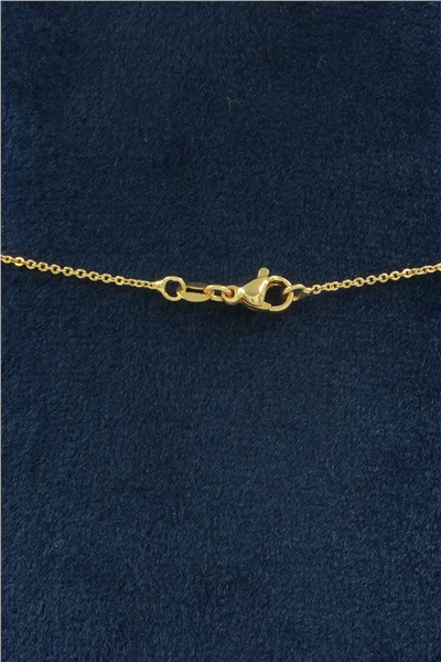 Premium Uçlu Kolye Gold