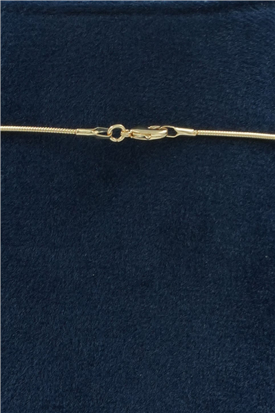 Premium Choker Kolye Gold
