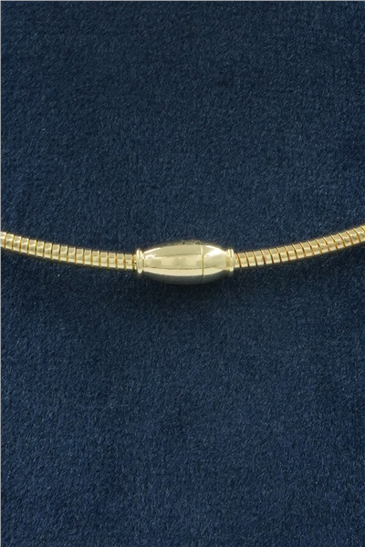 Premium Choker Kolye Gold