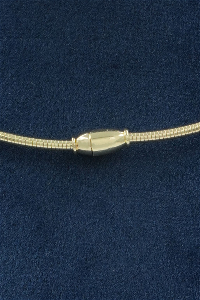 Premium Choker Kolye Gold