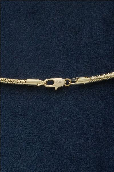 Bejou Premium Zincir Kolye Gold