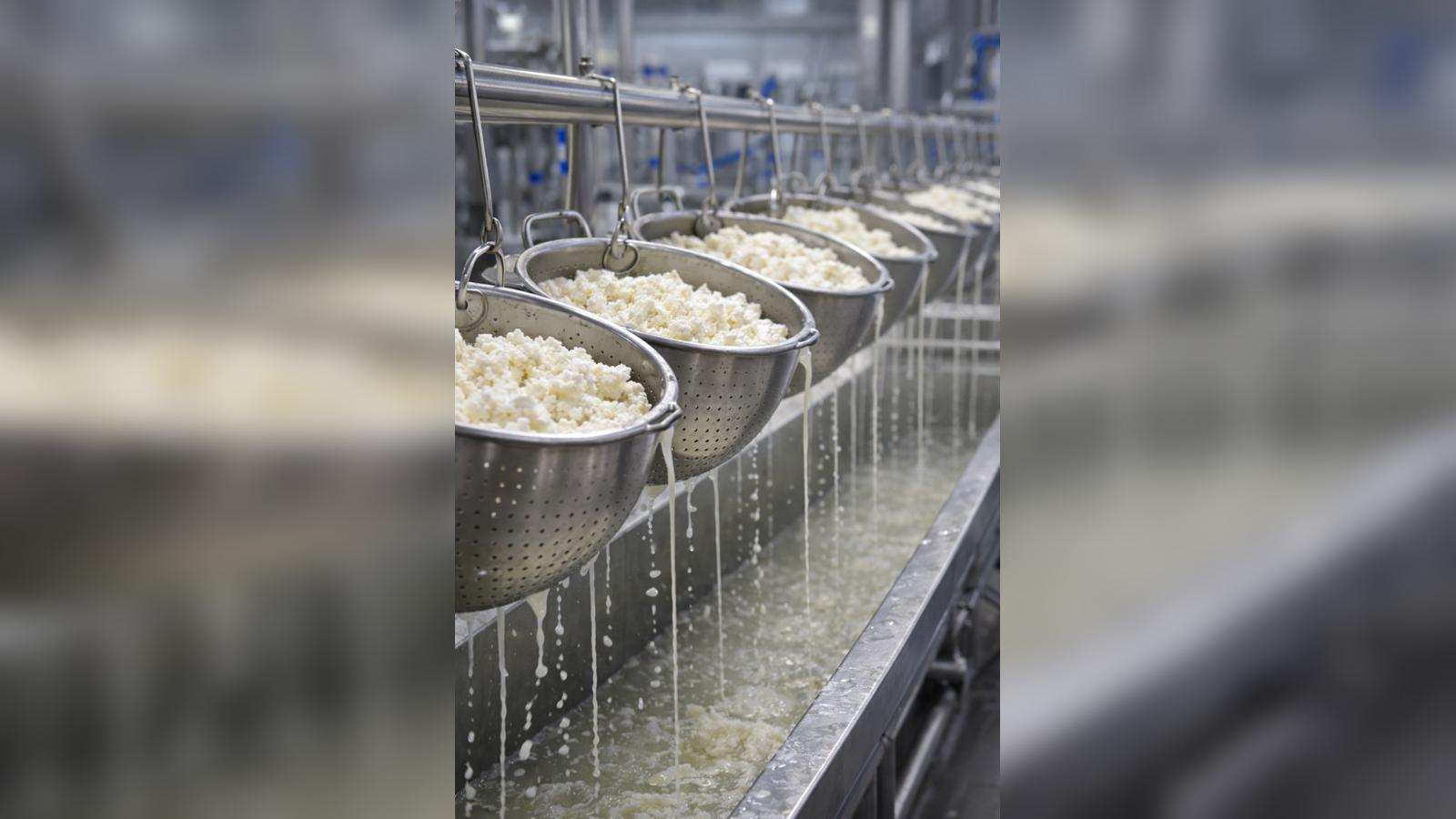 taze gıda,sağlıklı ürünler,doğal alışveriş