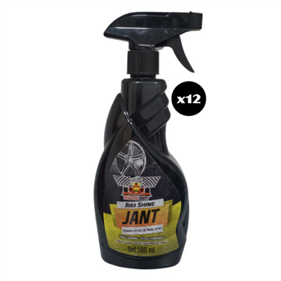 AUTO GEN JANT TEMİZLEME 500 ML 12'li