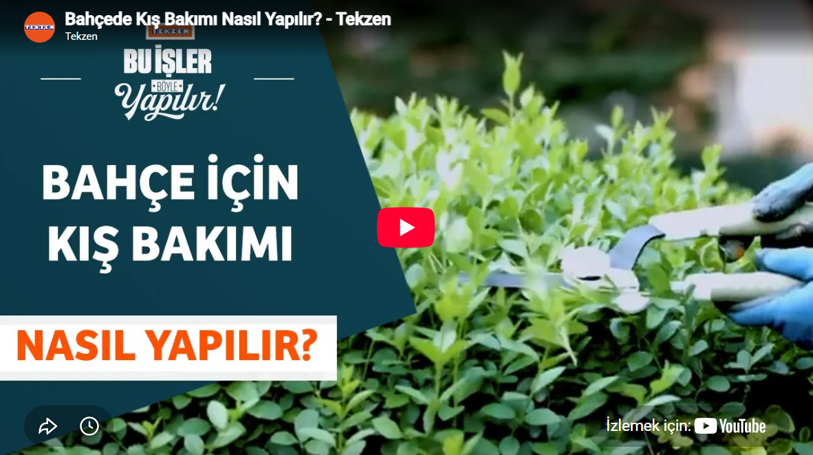 Bahçede Kış Bakımı Nasıl Yapılır?