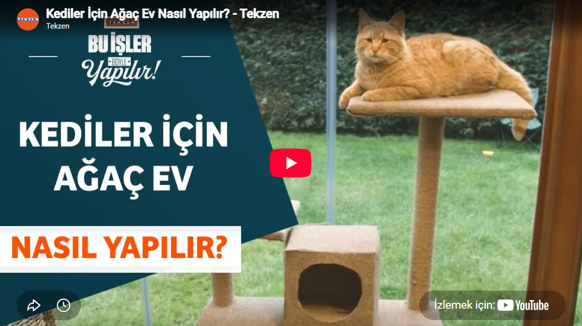 Kediler İçin Ağaç Ev Nasıl Yapılır?