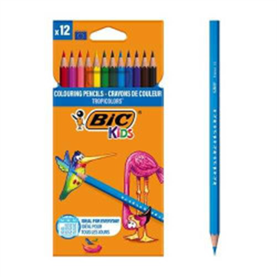 BİC KURU BOYA 12 RENK 83256610/6611 TRİPİCOLORS 2503 18CM