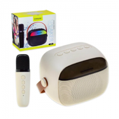 DUNSPIN MUSIC PLAYER FM SK-685