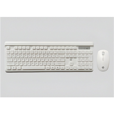 HP CS500 Keyboard and Mouse Set