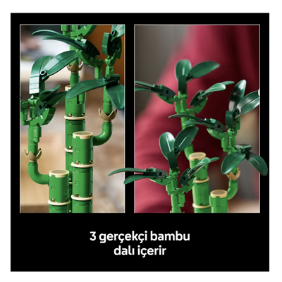 LEGO Botanicals Şans Bambusu