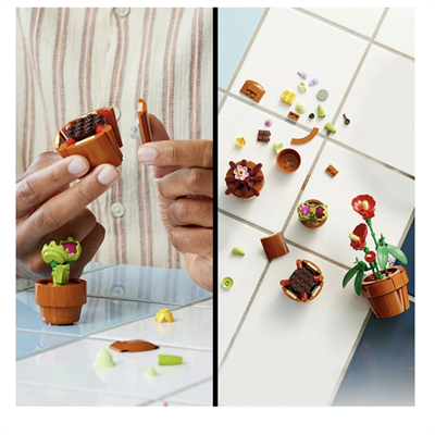 LEGO Botanicals Minik Bitkiler