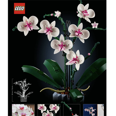 LEGO Botanicals Orkide