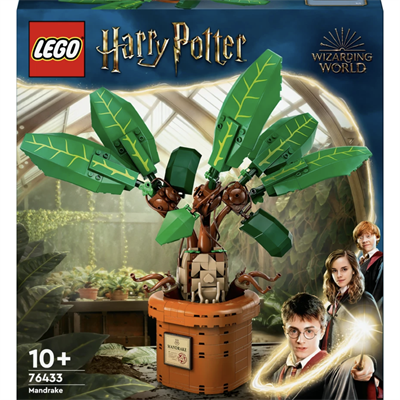 LEGO Harry Potter  Adamotu 