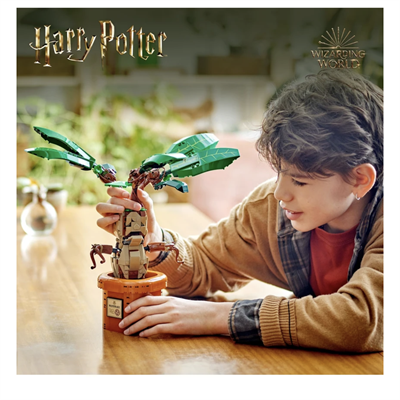 LEGO Harry Potter  Adamotu 