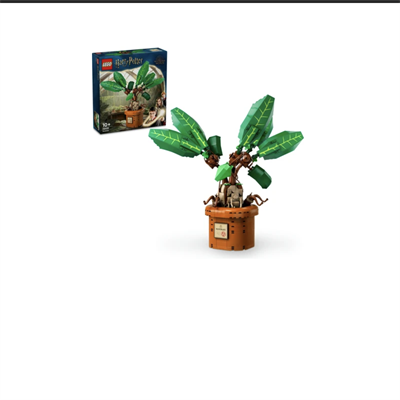 LEGO Harry Potter  Adamotu 