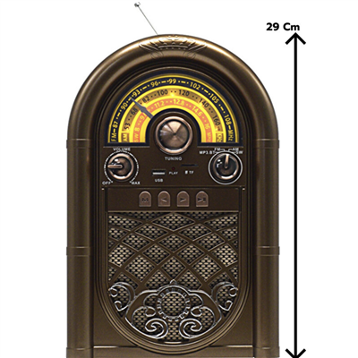 RAISENG R-1950BTL FM Müzik Çalar