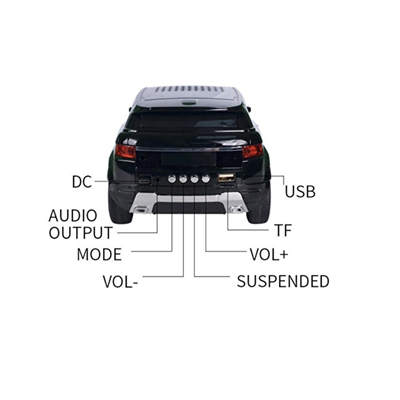 WSTER WS-389 FM Müzik Çalar