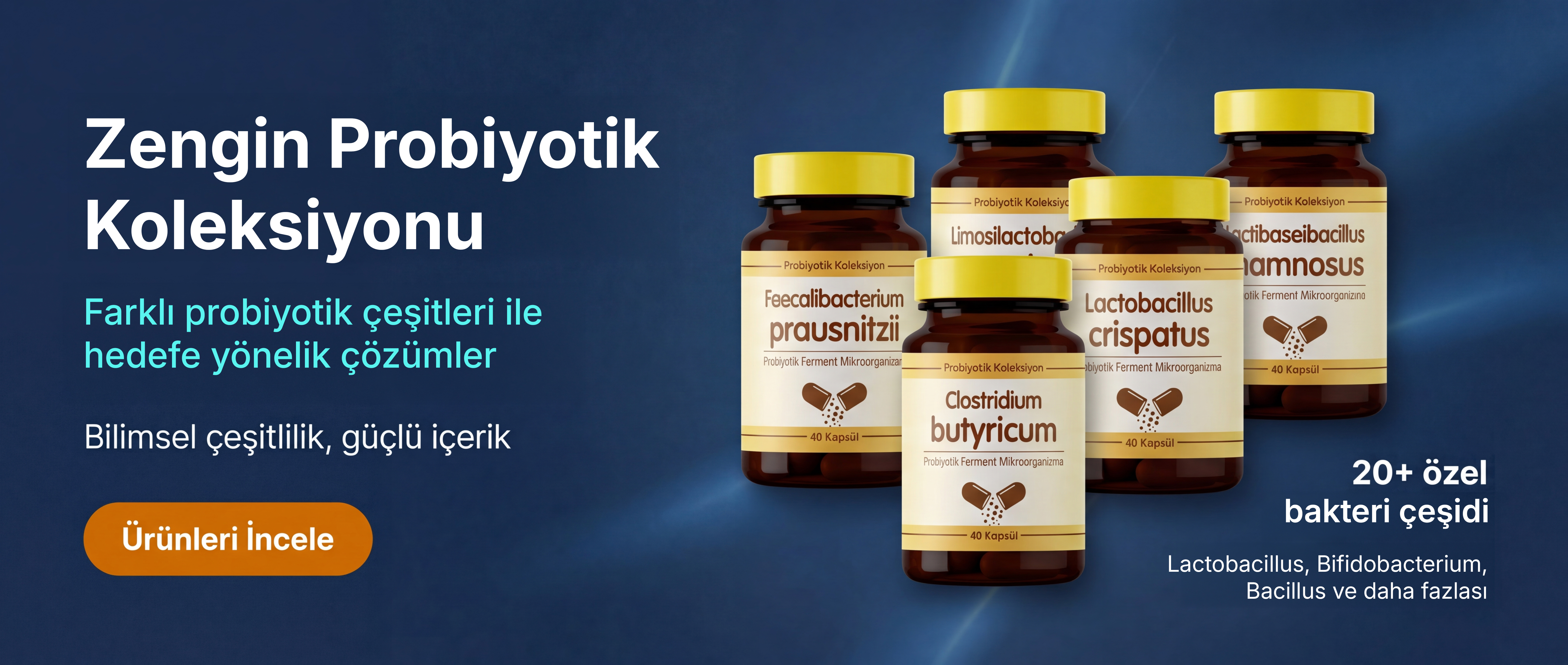 Bakteri Koleksiyonu