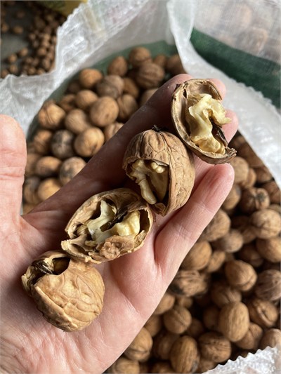 Chandler İnce Kabuklu Ceviz 1 / Kg