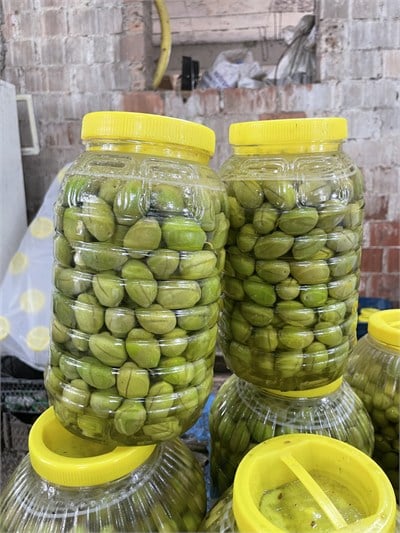 İri Kalamata Zeytin Yeni Mahsul 1 / Kg