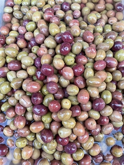 Manzalina Dilme Zeytin (Ekşimsi) 1(kg)