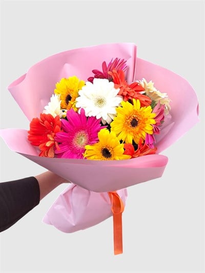 Gerbera Cenneti