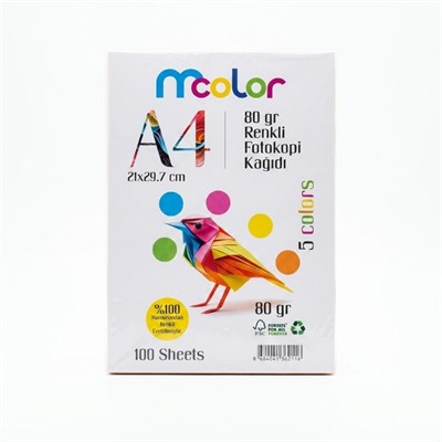 MCOLOR 100 LÜ RENKLİ FOTOKOPİ KAĞIDI 80 GR