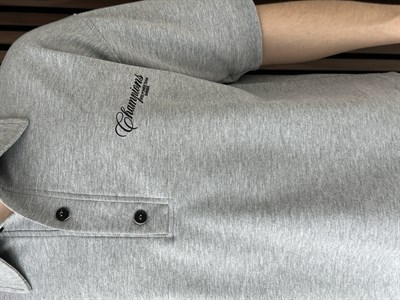 Polo Yaka Champions Baskılı Crop Tshirt Gri