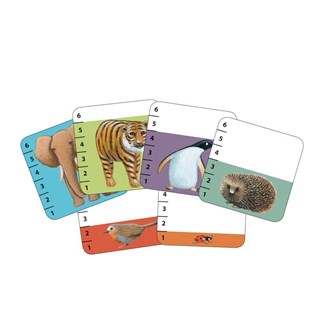 Djeco Kart Oyunları - Batanimo