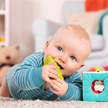 B.Toys Alfabe Blok Seti