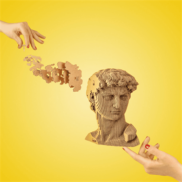 Cartonic 3D Puzzle - DAVID