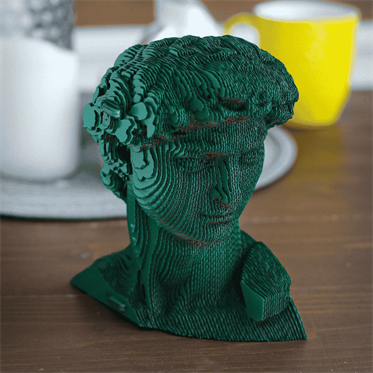 Cartonic 3D Puzzle - DAVID