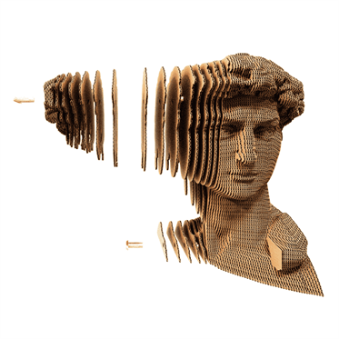 Cartonic 3D Puzzle - DAVID