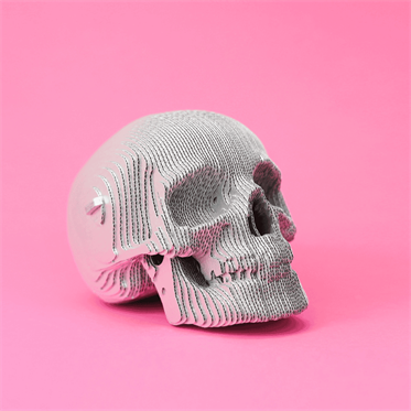 Cartonic 3D Puzzle - SKULL