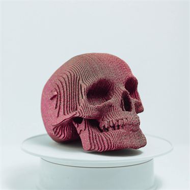 Cartonic 3D Puzzle - SKULL