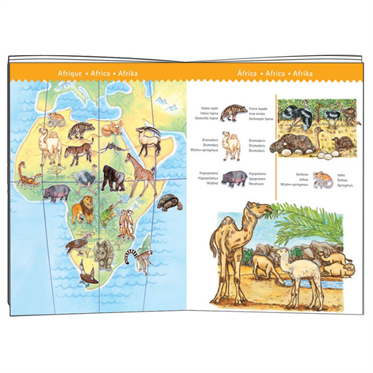Djeco Klasik Puzzle 100 Parça - Worlds Animals