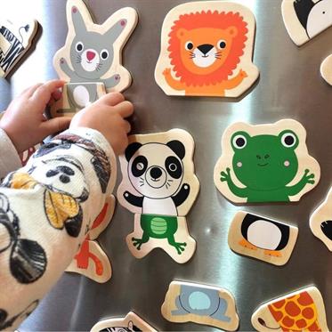 Djeco Mıknatıslı Oyunlar - Coucou